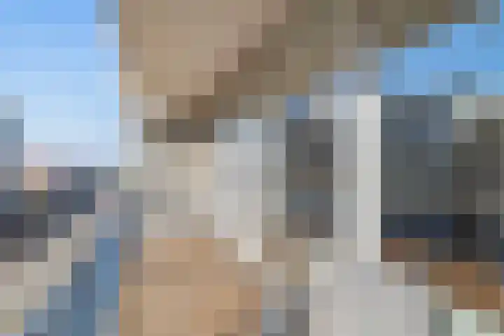 Vierloper 77 Den Haag thumbnail 21
