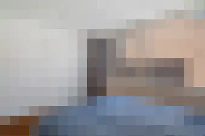 Vierloper 77 Den Haag thumbnail 23