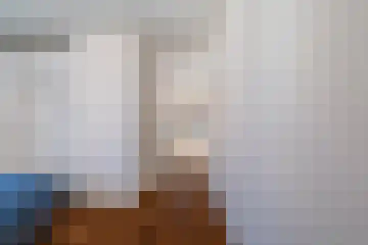 Vierloper 77 Den Haag thumbnail 26