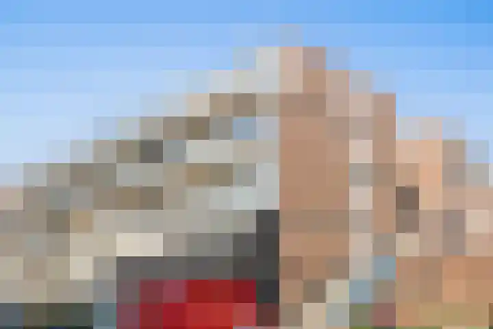 Vierloper 77 Den Haag thumbnail 32