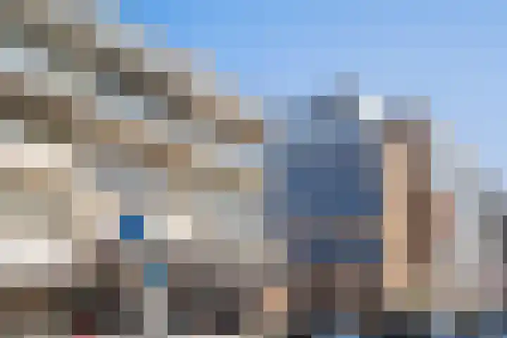 Vierloper 77 Den Haag thumbnail 33