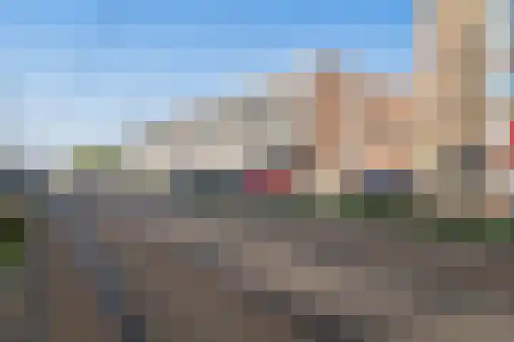 Vierloper 77 Den Haag thumbnail 34