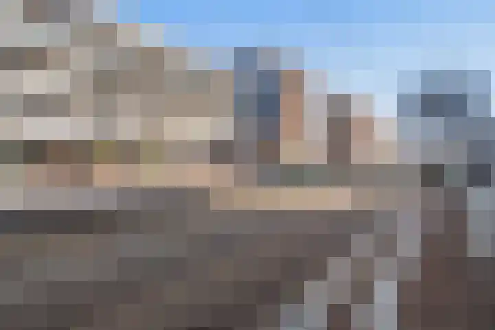 Vierloper 77 Den Haag thumbnail 35