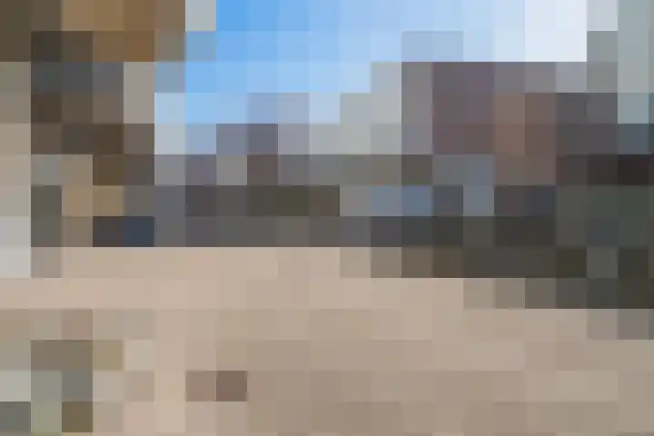 Vierloper 77 Den Haag thumbnail 36