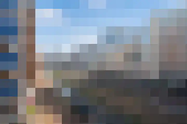 Vierloper 77 Den Haag thumbnail 37