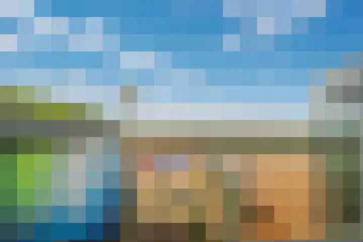 Vierloper 77 Den Haag thumbnail 38