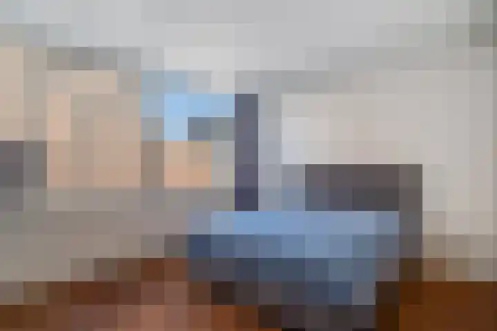 Vierloper 77 Den Haag thumbnail 4