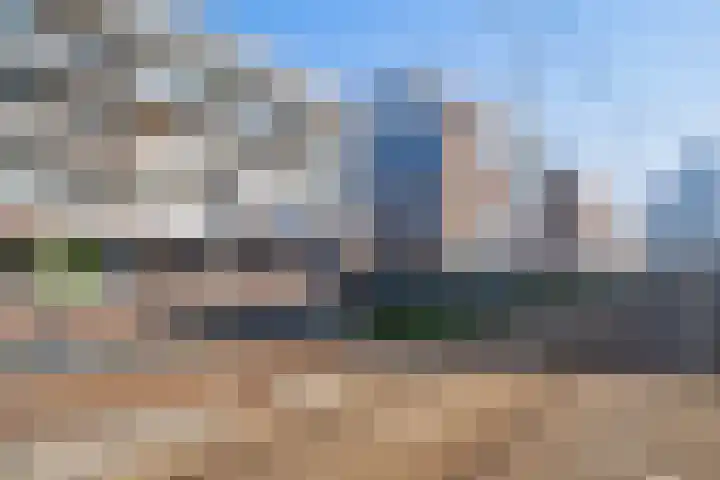 Vierloper 77 Den Haag thumbnail 5