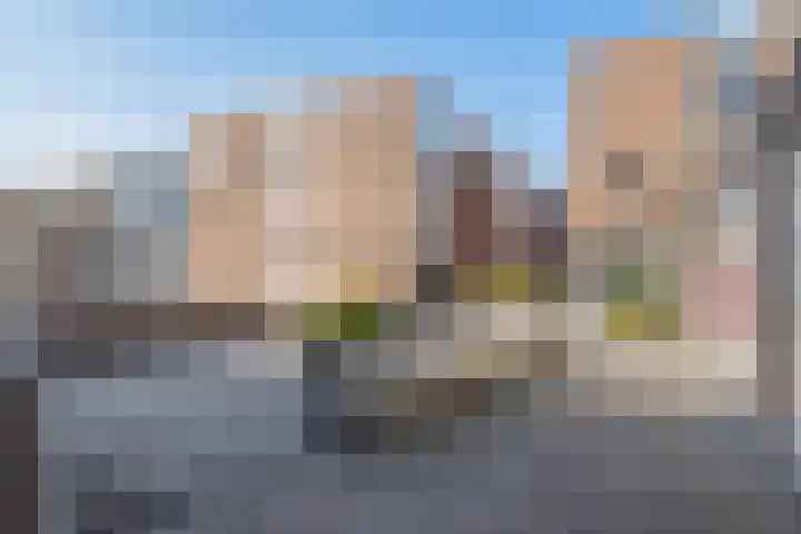 Vierloper 77 Den Haag thumbnail 6