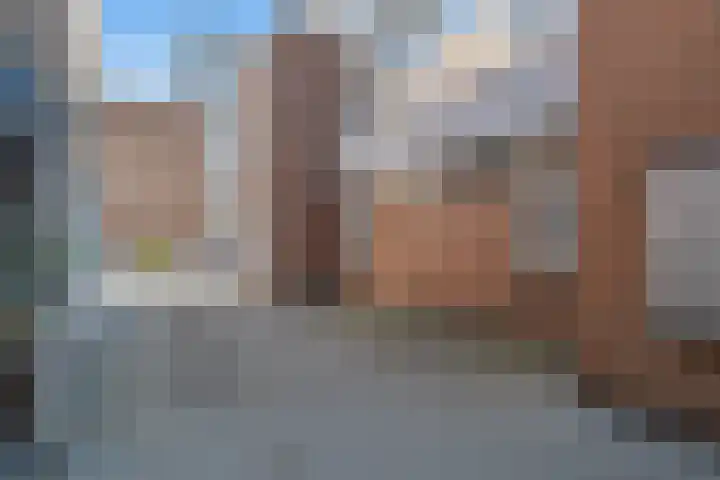 Vierloper 77 Den Haag thumbnail 7