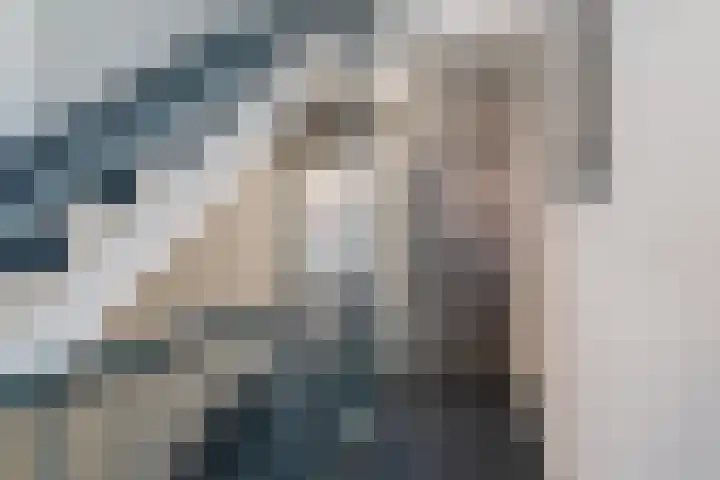 Vierloper 77 Den Haag thumbnail 8