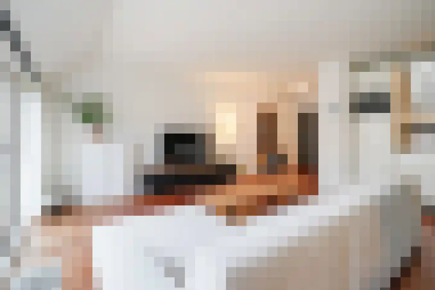 Vierloper 81 Den Haag thumbnail 13