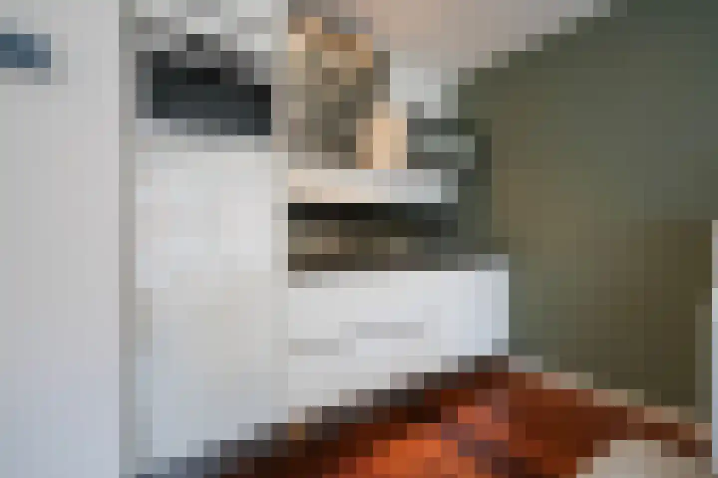Vierloper 81 Den Haag thumbnail 14