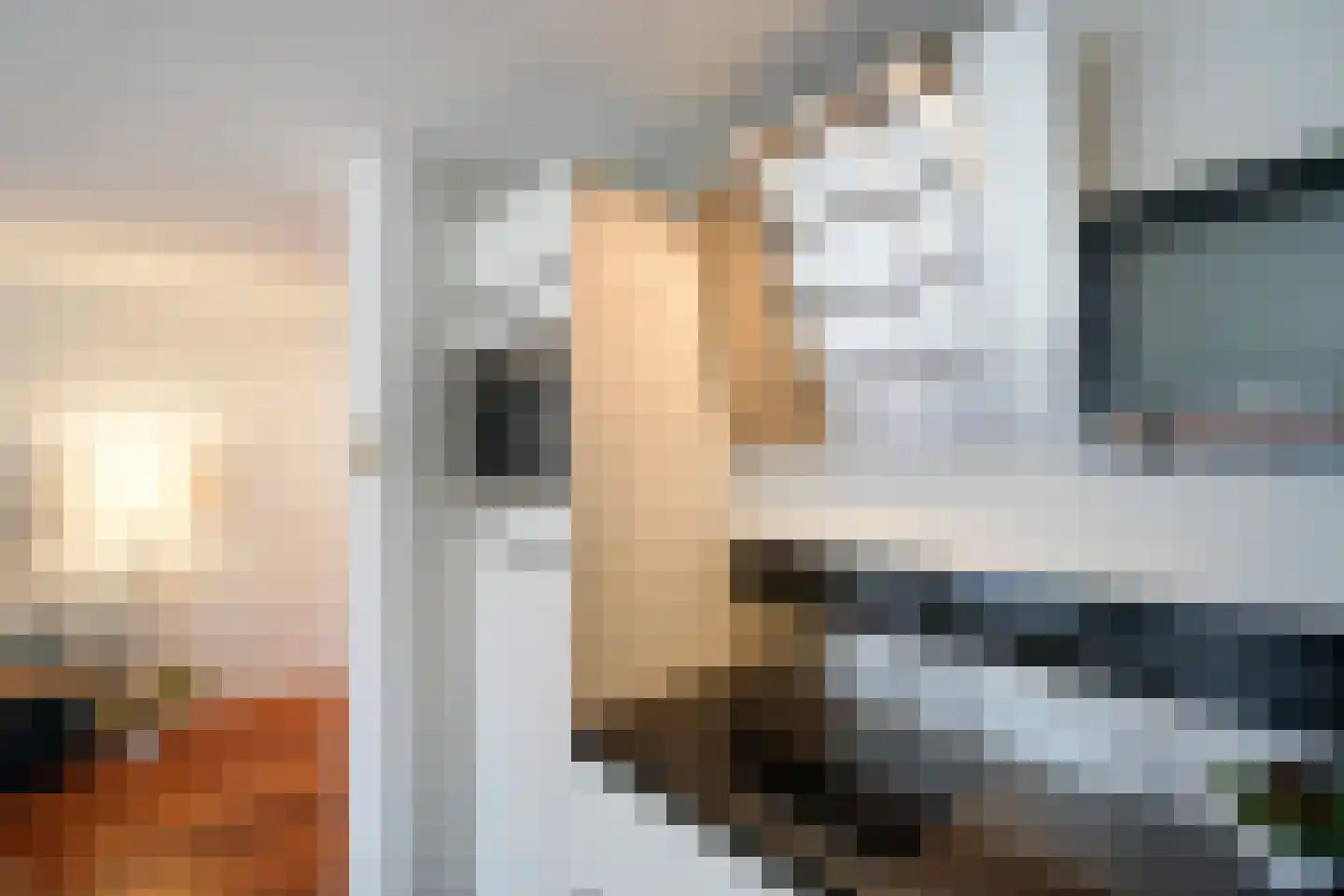 Vierloper 81 Den Haag thumbnail 15