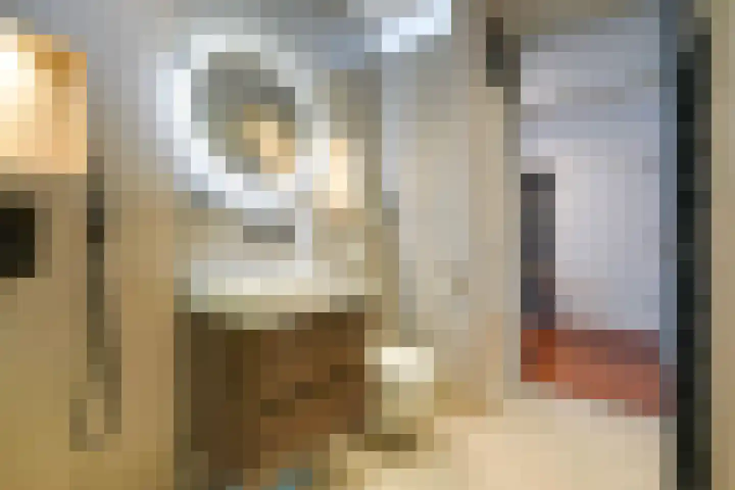 Vierloper 81 Den Haag thumbnail 20
