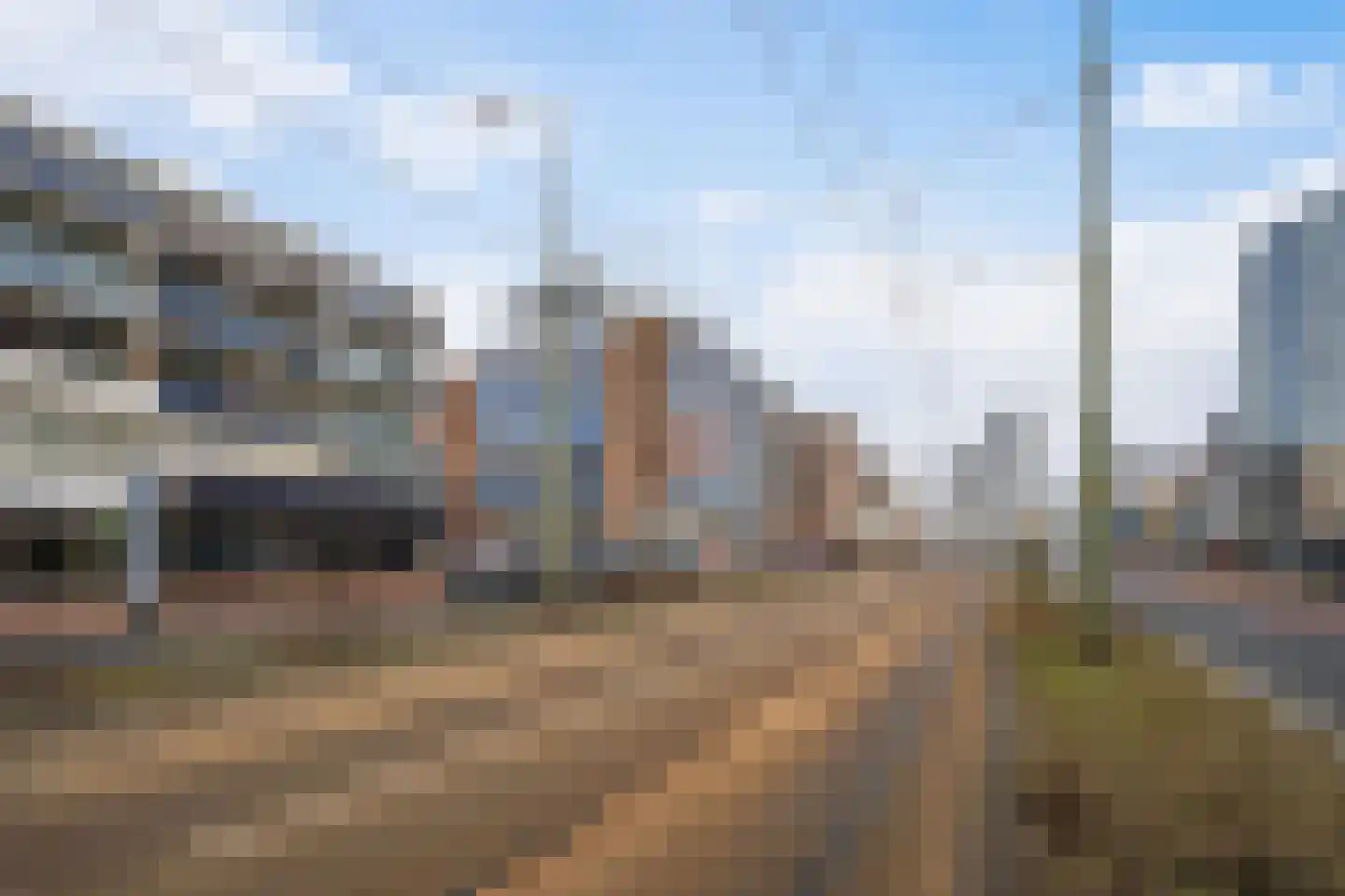 Vierloper 81 Den Haag thumbnail 31