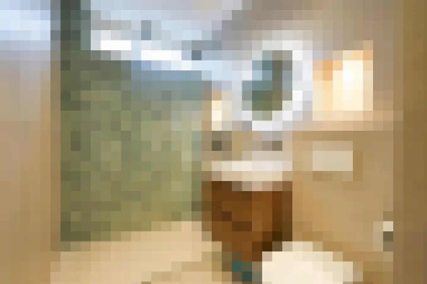 Vierloper 81 Den Haag thumbnail 6