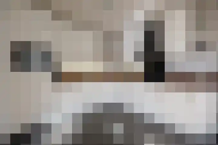 Viermorgen 1 Bemmel thumbnail 10