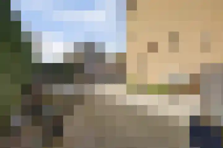 Viermorgen 1 Bemmel thumbnail 19