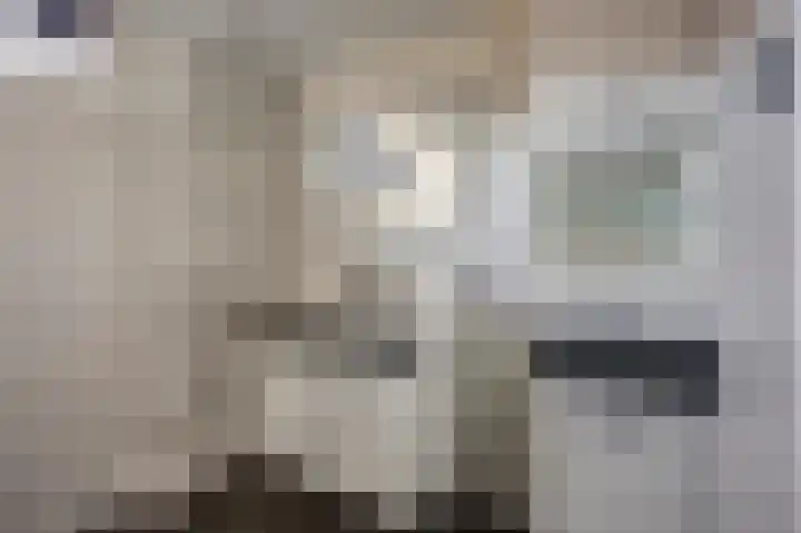Viermorgen 1 Bemmel thumbnail 27
