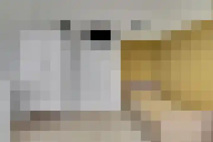 Viermorgen 27 Bemmel thumbnail 19