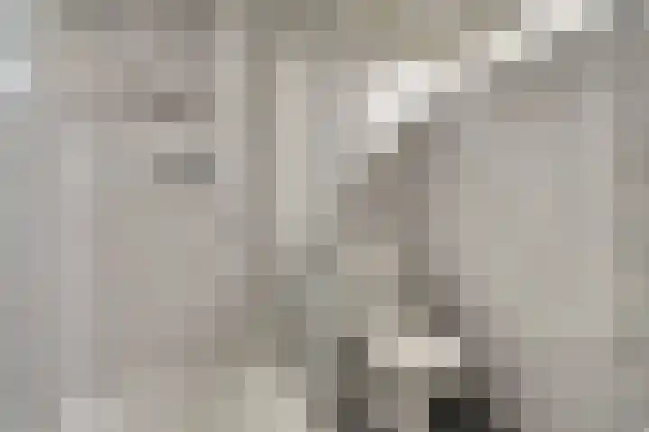 Viermorgen 27 Bemmel thumbnail 21