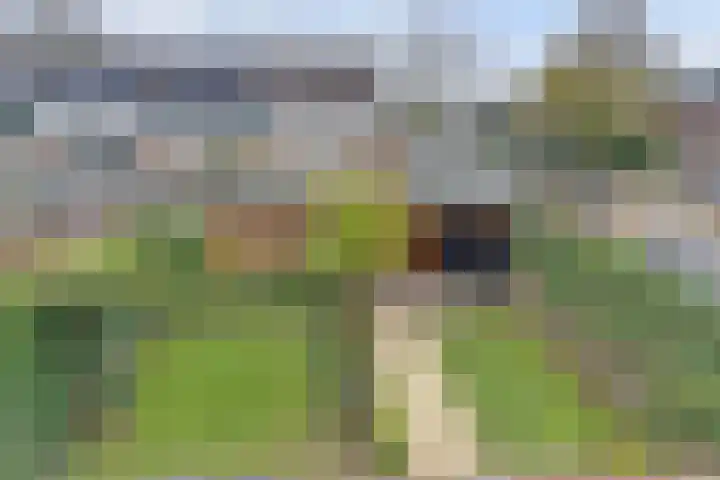 Viermorgen 27 Bemmel thumbnail 31