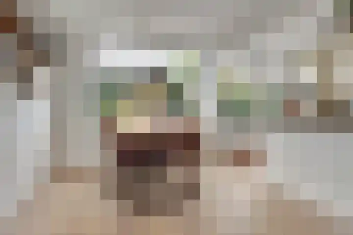 Viermorgen 27 Bemmel thumbnail 9