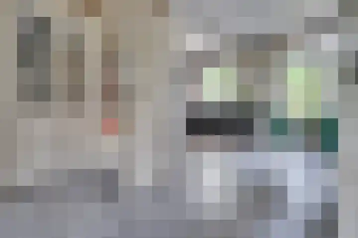 Vierpaardjes 7 Venlo thumbnail 10