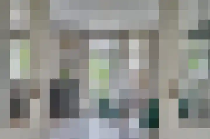 Vierpaardjes 7 Venlo thumbnail 11