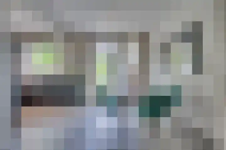 Vierpaardjes 7 Venlo thumbnail 12