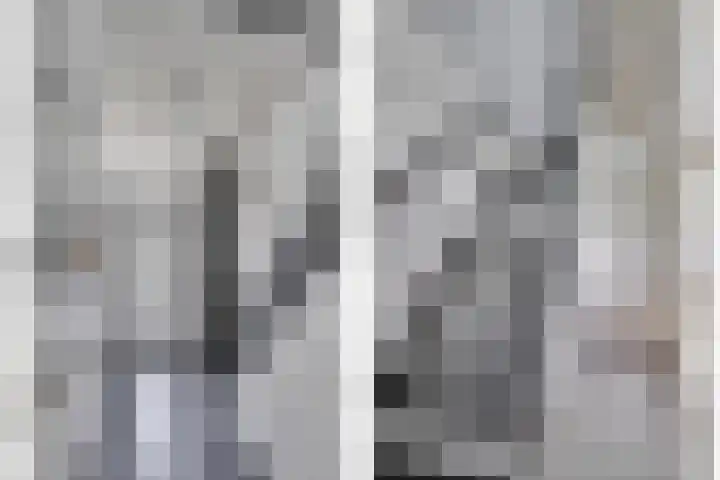 Vierpaardjes 7 Venlo thumbnail 17