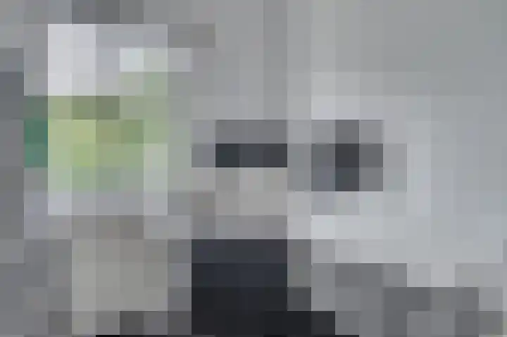 Vierpaardjes 7 Venlo thumbnail 24