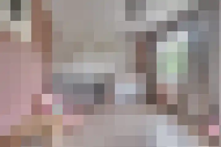 Vierpaardjes 7 Venlo thumbnail 25