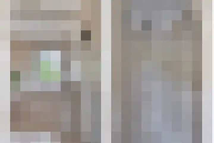 Vierpaardjes 7 Venlo thumbnail 29