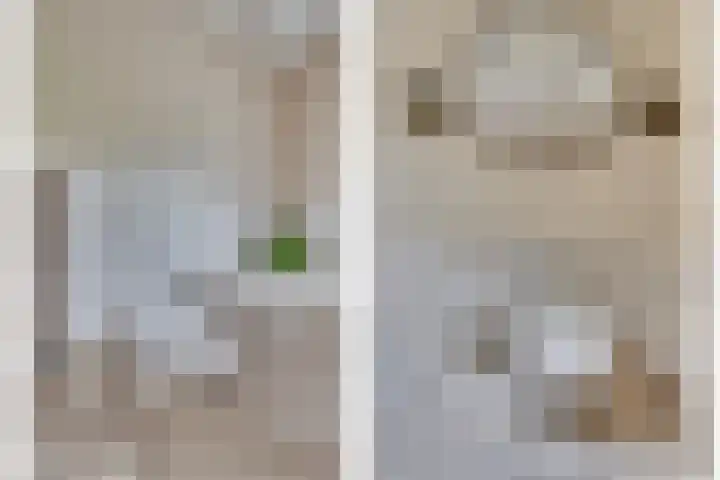 Vierpaardjes 7 Venlo thumbnail 30