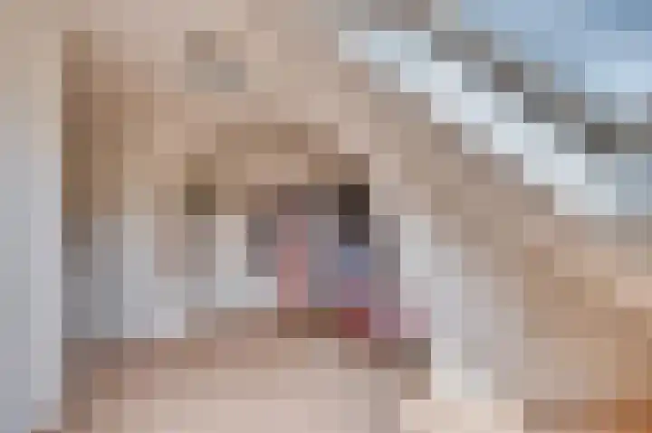 Vierpaardjes 7 Venlo thumbnail 34