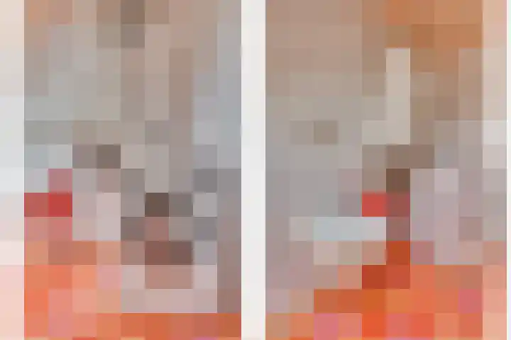 Vierpaardjes 7 Venlo thumbnail 35
