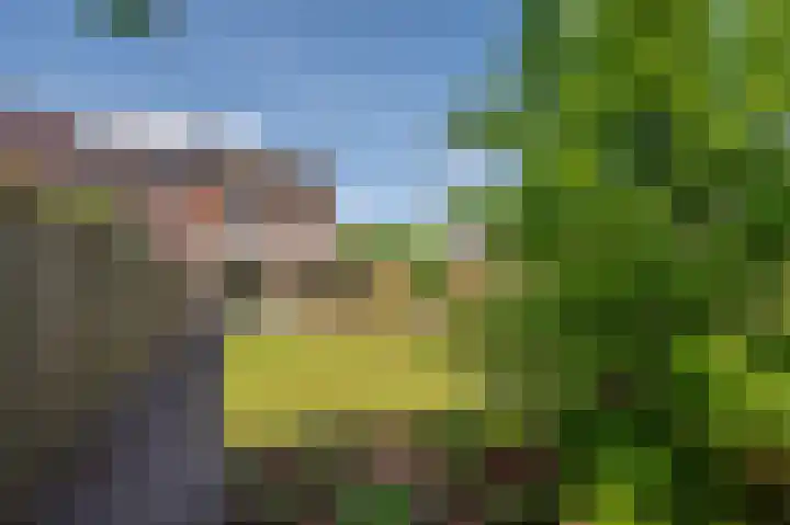 Vierpaardjes 7 Venlo thumbnail 37
