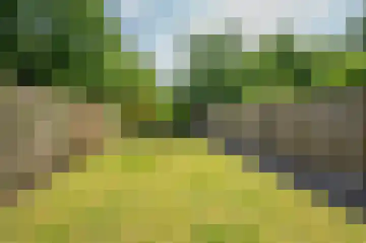 Vierpaardjes 7 Venlo thumbnail 38