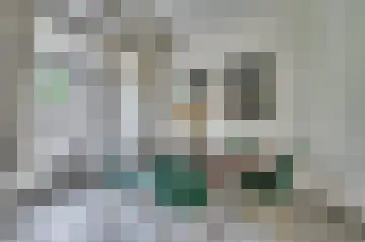 Vierpaardjes 7 Venlo thumbnail 4
