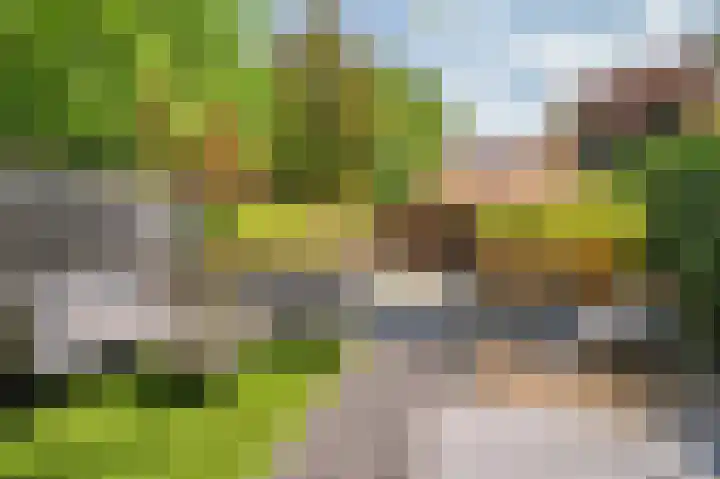 Vierpaardjes 7 Venlo thumbnail 42