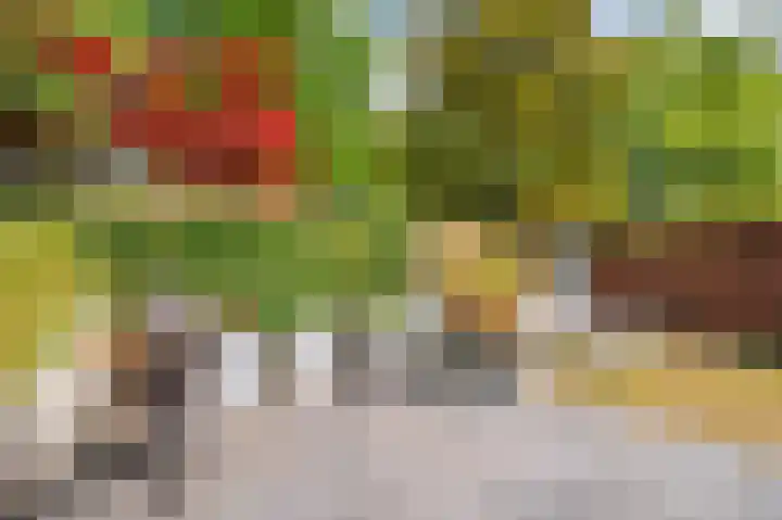 Vierpaardjes 7 Venlo thumbnail 44