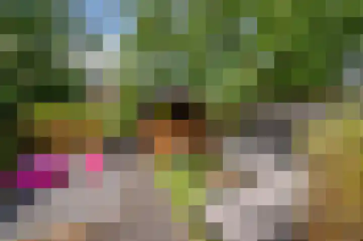 Vierpaardjes 7 Venlo thumbnail 46
