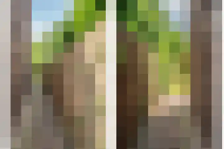 Vierpaardjes 7 Venlo thumbnail 47