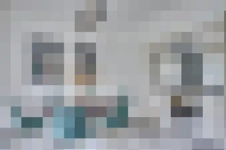 Vierpaardjes 7 Venlo thumbnail 5