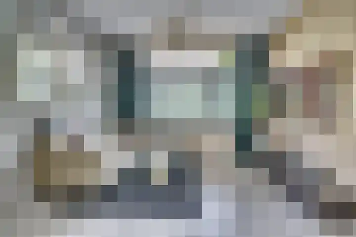 Vierpaardjes 7 Venlo thumbnail 6