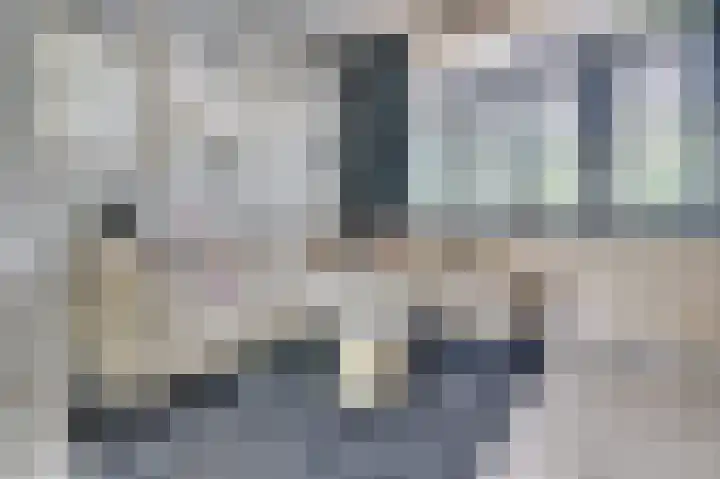 Vierpaardjes 7 Venlo thumbnail 7