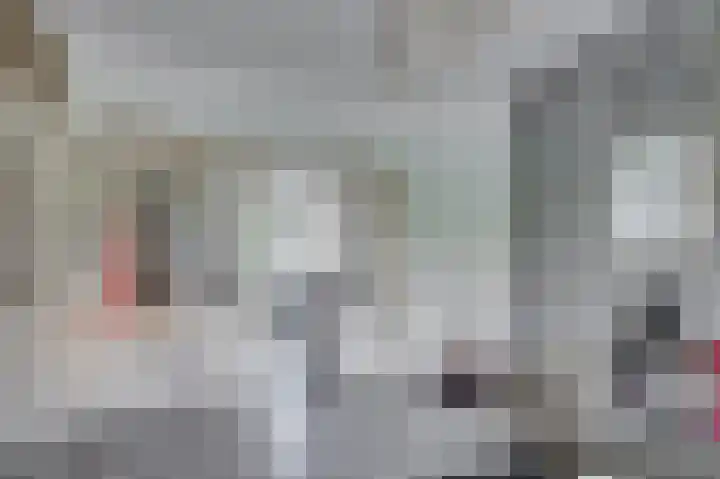 Vierpaardjes 7 Venlo thumbnail 9