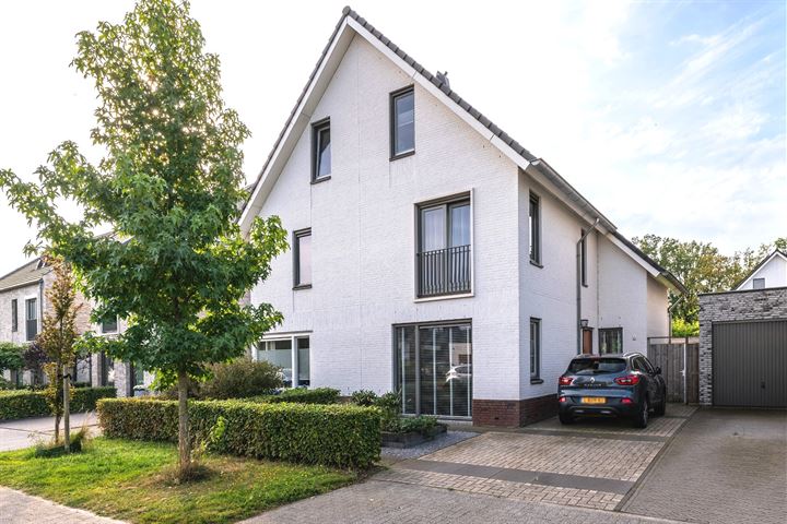 Viervleklibel 9 in Son en Breugel foto